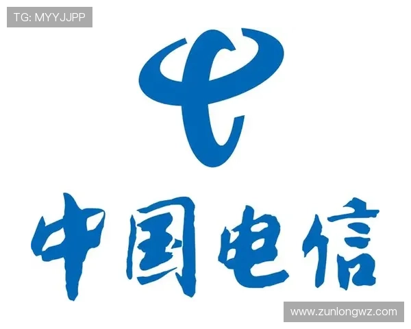 尊龙集团网址官方入口2024年最新更新版本详细解析与访问步骤指南